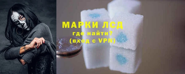 шишки Надым
