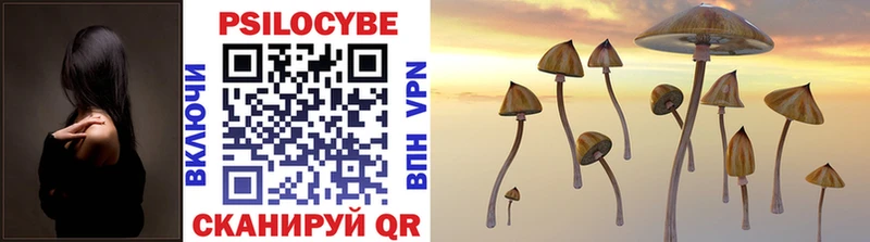 Галлюциногенные грибы Magic Shrooms Нестеров